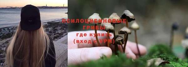 прущая мука Мегион
