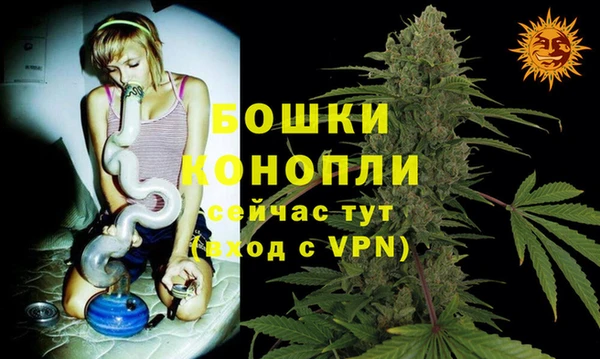 ГАЛЛЮЦИНОГЕННЫЕ ГРИБЫ Медвежьегорск