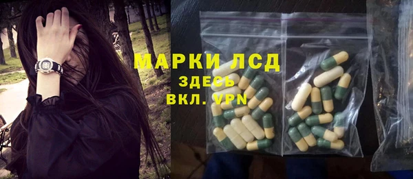ГАЛЛЮЦИНОГЕННЫЕ ГРИБЫ Медвежьегорск
