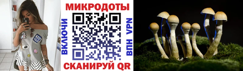 Галлюциногенные грибы прущие грибы  Томари 